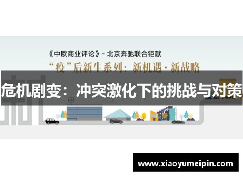 危机剧变：冲突激化下的挑战与对策